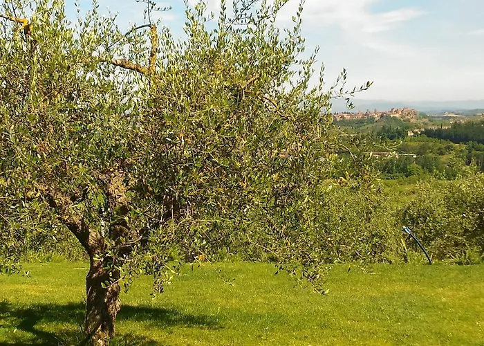 Alojamento de Turismo Rural Capanna 1826 *